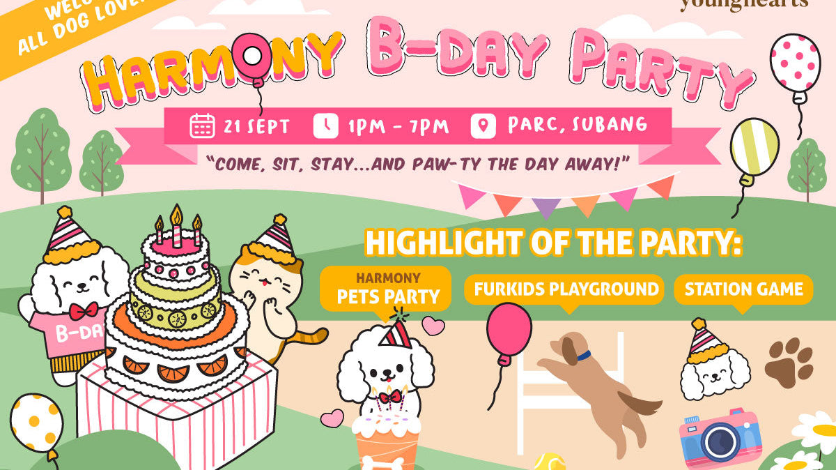 Let’s Paw-ty! Harmony’s Birthday Bash with Furry Friends