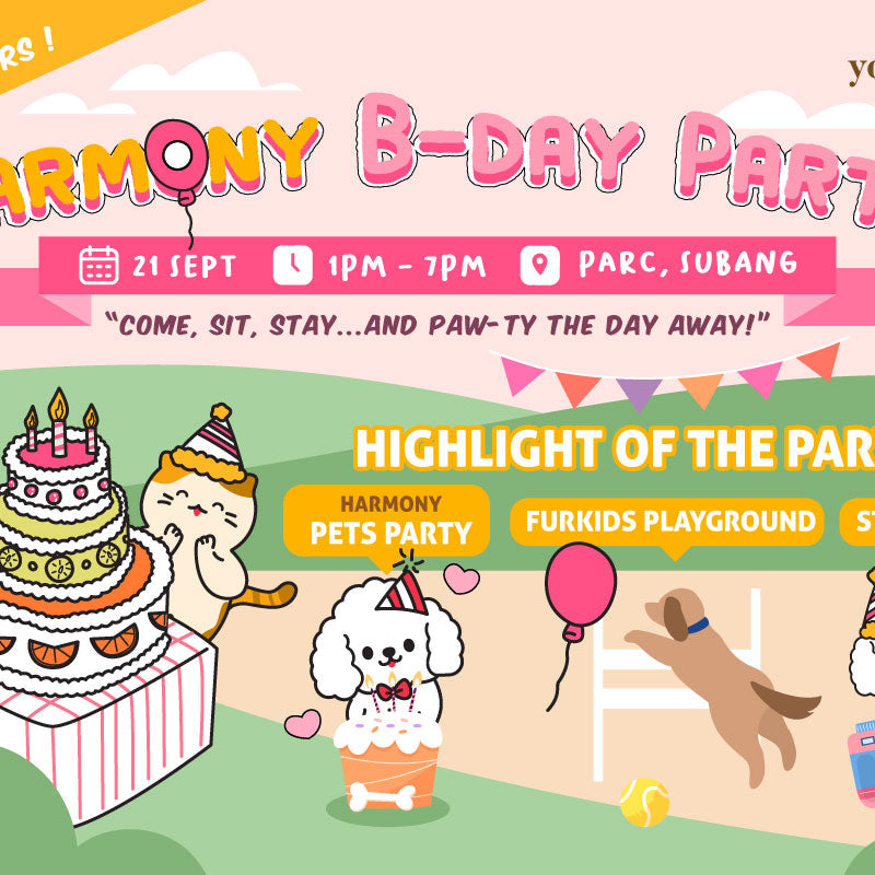 Let’s Paw-ty! Harmony’s Birthday Bash with Furry Friends