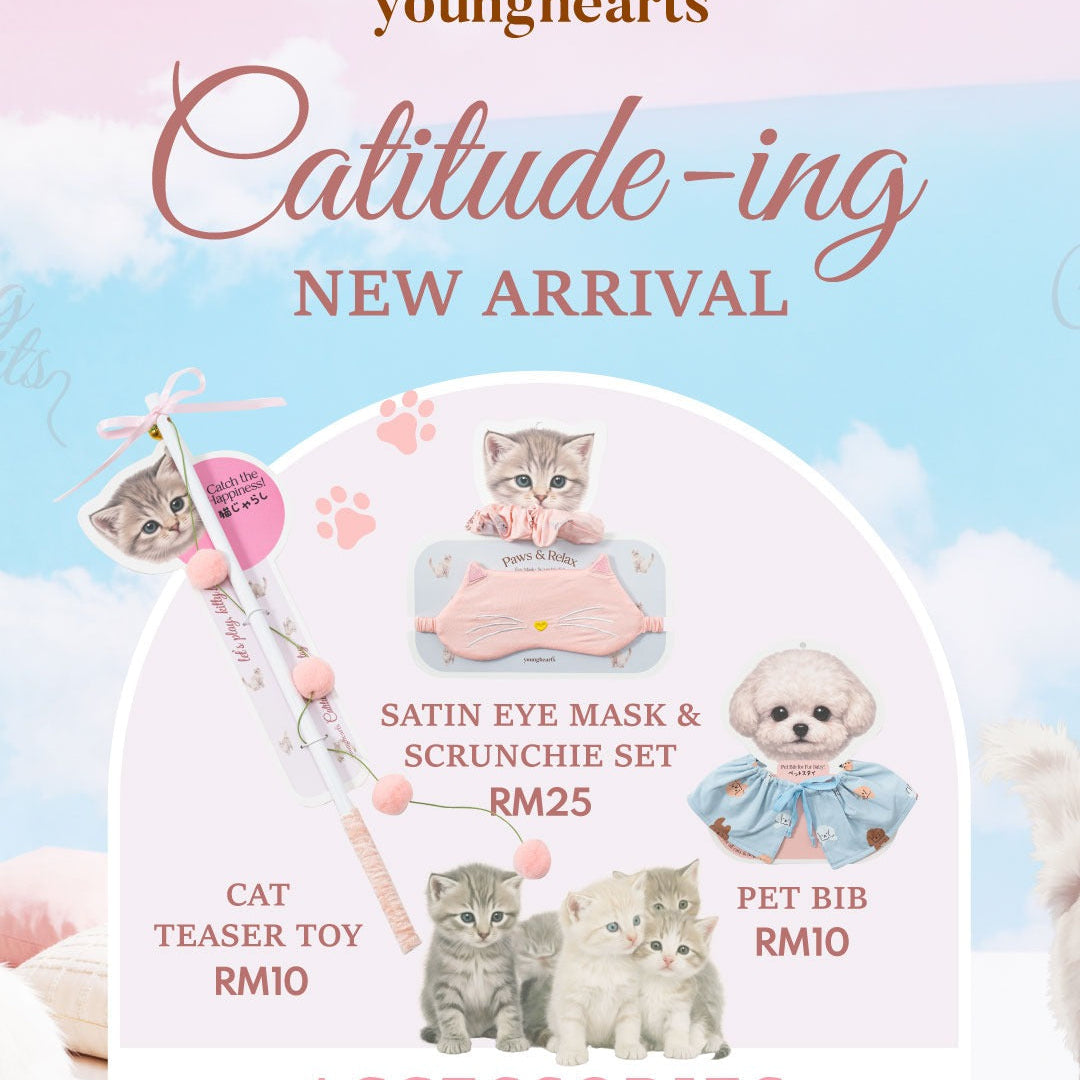 Paws & Cuddles: Where You and Your Cat Connect in Catitude
