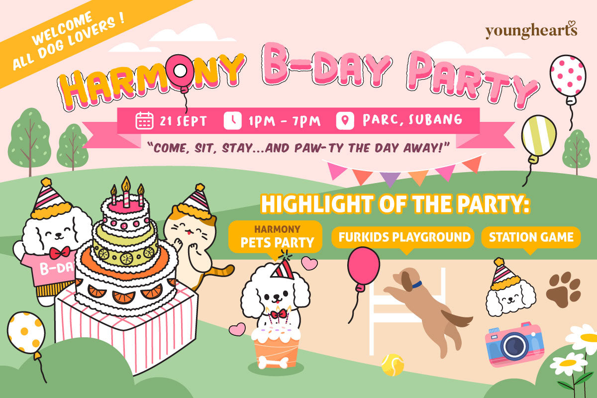 Let’s Paw-ty! Harmony’s Birthday Bash with Furry Friends