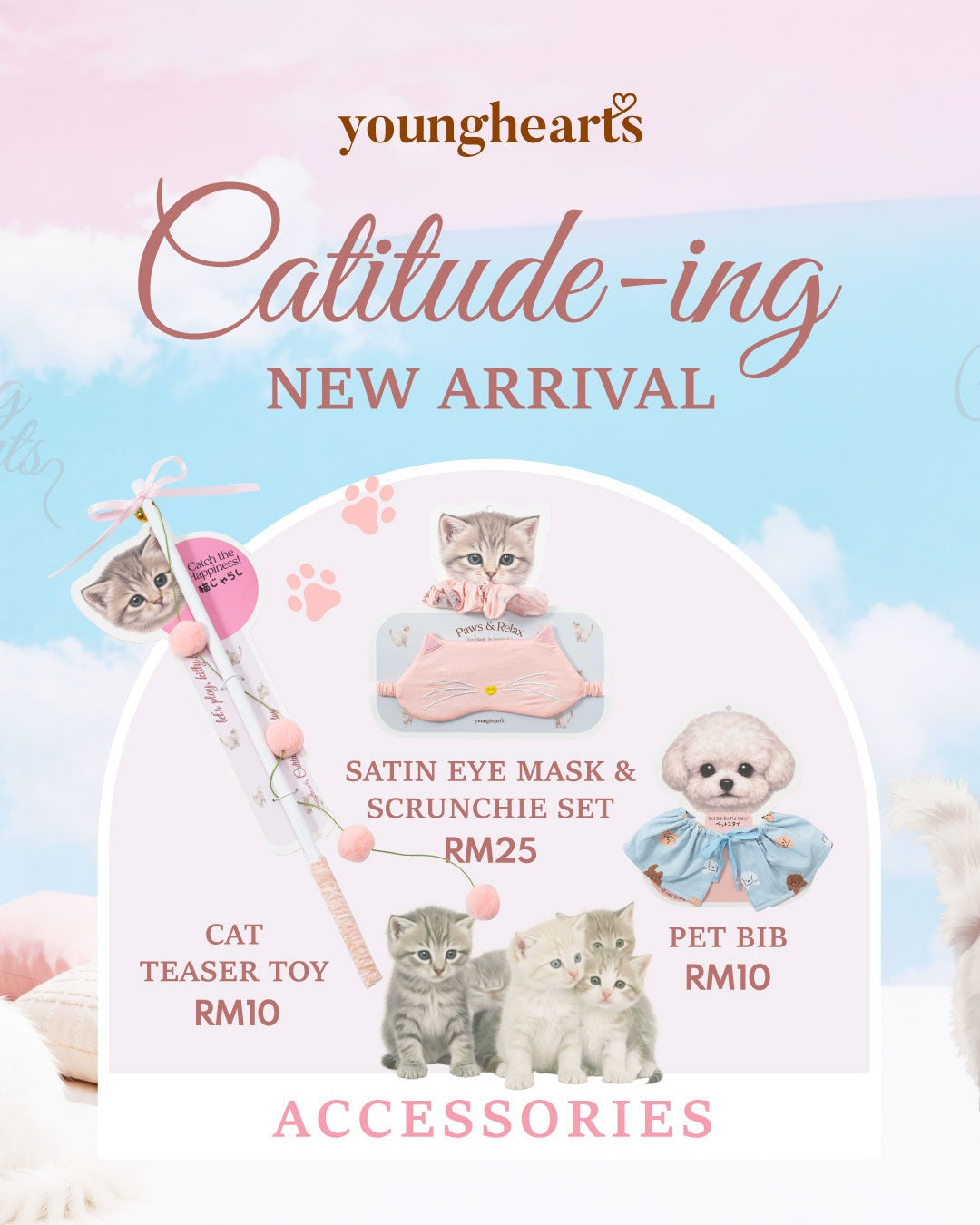Paws & Cuddles: Where You and Your Cat Connect in Catitude