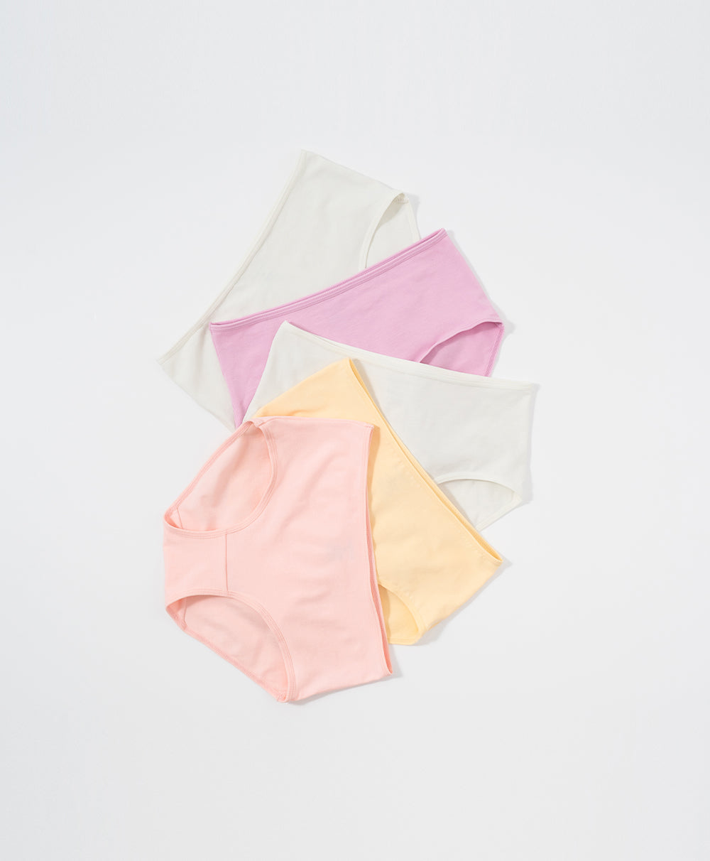 Modern Neutral Mid Waist Hipster 5pcs Cotton Spandex Pack Panties