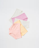 Modern Neutral Mid Waist Hipster 5pcs Cotton Spandex Pack Panties